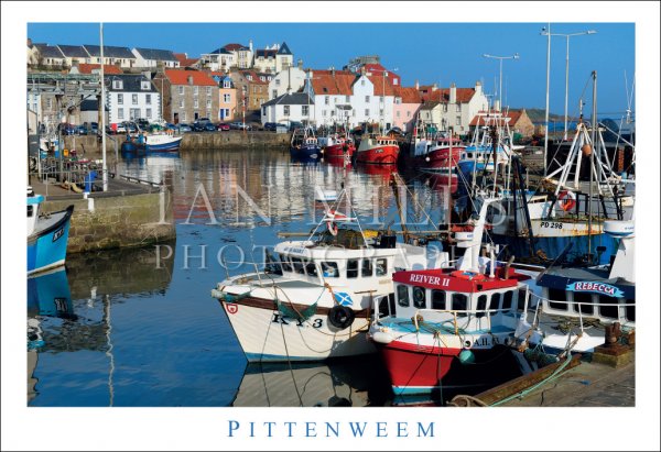 Pittenweem, Harbour & Town Postcard