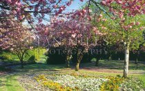 Leven, Letham Glen Postcard