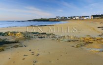 Earlsferry Beach Postcard