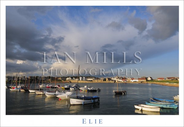 Elie, Sheltered Harbour Postcard