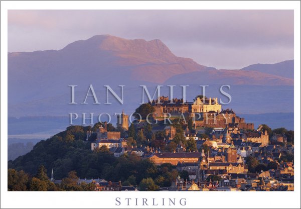 Stirling - Castle, Top of Town, Hillside Postcard