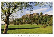 Stirling Castle, Spring, Tree