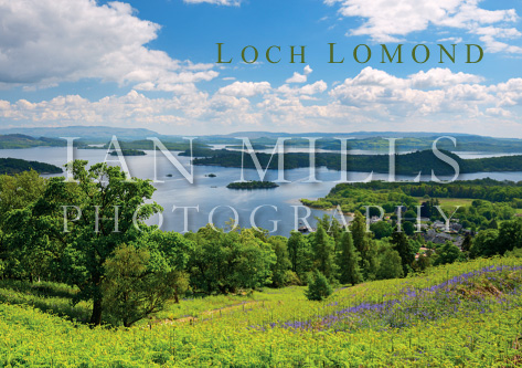 Loch Lomond above Luss Magnet