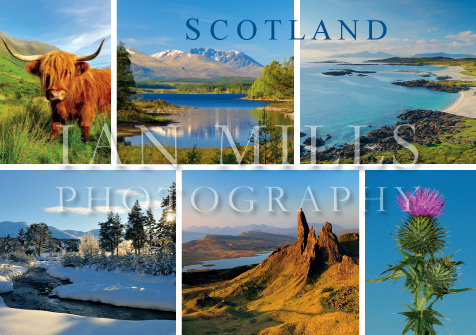 Scotland, Multi 6,Cow,Thistle,Nevis,Storr,etc Magnet (H)