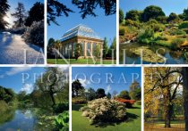 Royal Botanic Garden, Edinburgh, Multi view Magnet