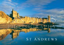 St Andrews Castle, Reflection Close Up Magnet
