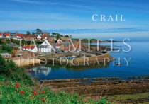 Crail, From Above, Flowers Magnet