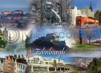 Edinburgh Fusion Magnet