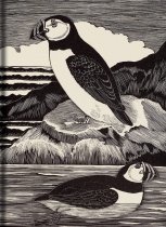 Birds Journal: Puffin
