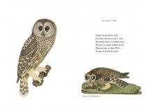 Wilson's Ornithology & Burds in Scots (Oct