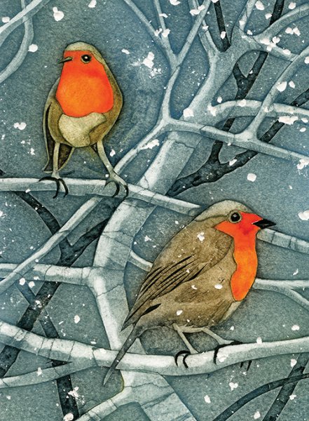 Notebook Wild Birds Robin