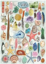 Jigsaw Art File Natural Curiosities 1000pc