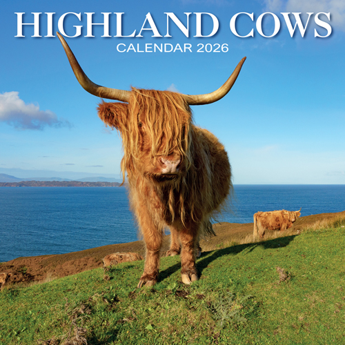 2026 Calendar Highland Cows