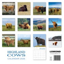 2026 Calendar Highland Cows