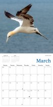 2026 Calendar Natural Scotland