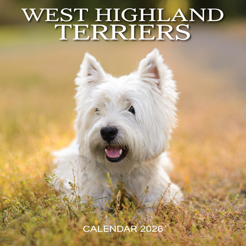 2026 Calendar West Highland Terriers