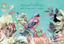 Notecard Collection Symphony