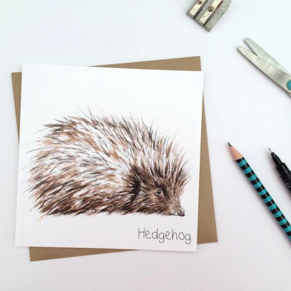 Hedgehog Greetings Card