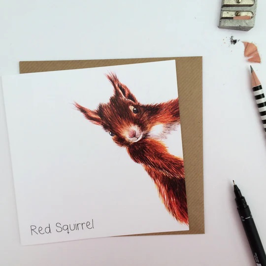 Red Squirrel Greetings Card