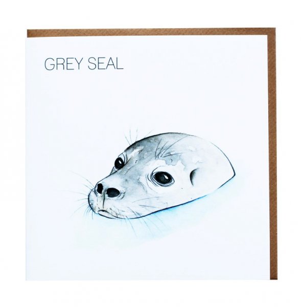 Grey Seal Greetings Card
