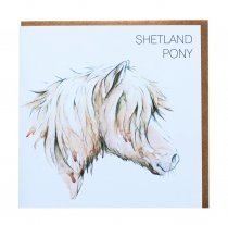 Shetland Pony Greetings Card