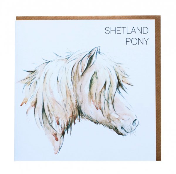 Shetland Pony Greetings Card
