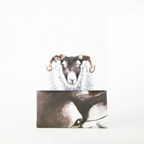 Tea Towel Blackface Sheep
