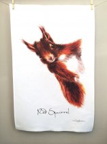 Tea Towel Red Squirrel