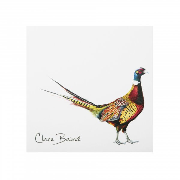 Sticky Notes Pheasant