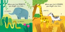 First Book & Jigsaw Wild Animals