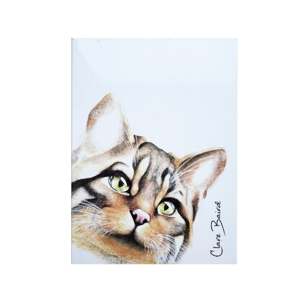 Wildcat Magnet