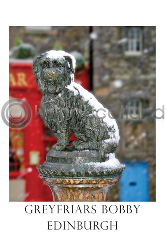 Greyfriars Bobby in Snow Postcard