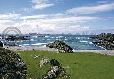 Pilgrimage Columba's Beach Postcard