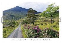 Road To Loch Buie & Ben Buie Postcard
