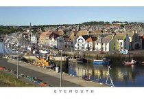 Eyemouth Harbour Postcard