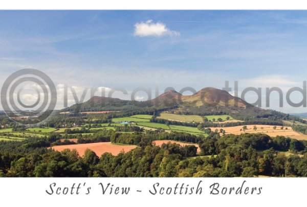 Scott's View Postcard