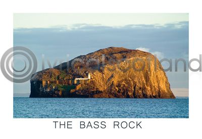 Bass Rock Postcard
