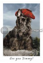 See You Jimmy! Postcard