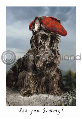 See You Jimmy! Postcard