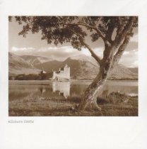 Kilchurn Tree, Loch Awe Sepia Greetings Card