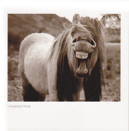 Laughing Horse Sepia Greetings Card