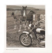 Bonnie & Clydesdales Sepia Greetings Card