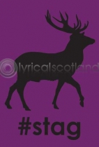 #stag (VA6)