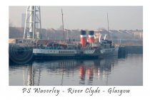PS Waverley River Clyde Glasgow Postcard