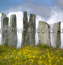 Callanish Stones Colour Photo Greetings Card