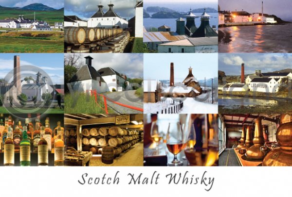 Scotch Whisky Composite Postcard