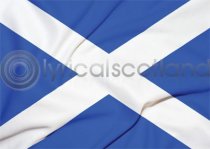 Saltire Flag Magnet